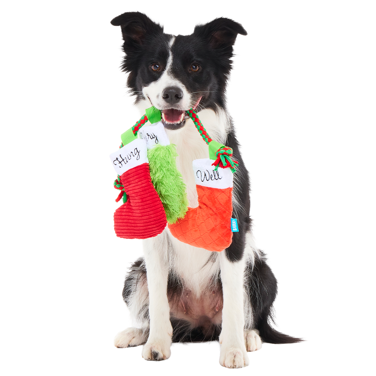 Well Hung Stockings Plush Extra-Large + Tug + Enrichment Dog Toy