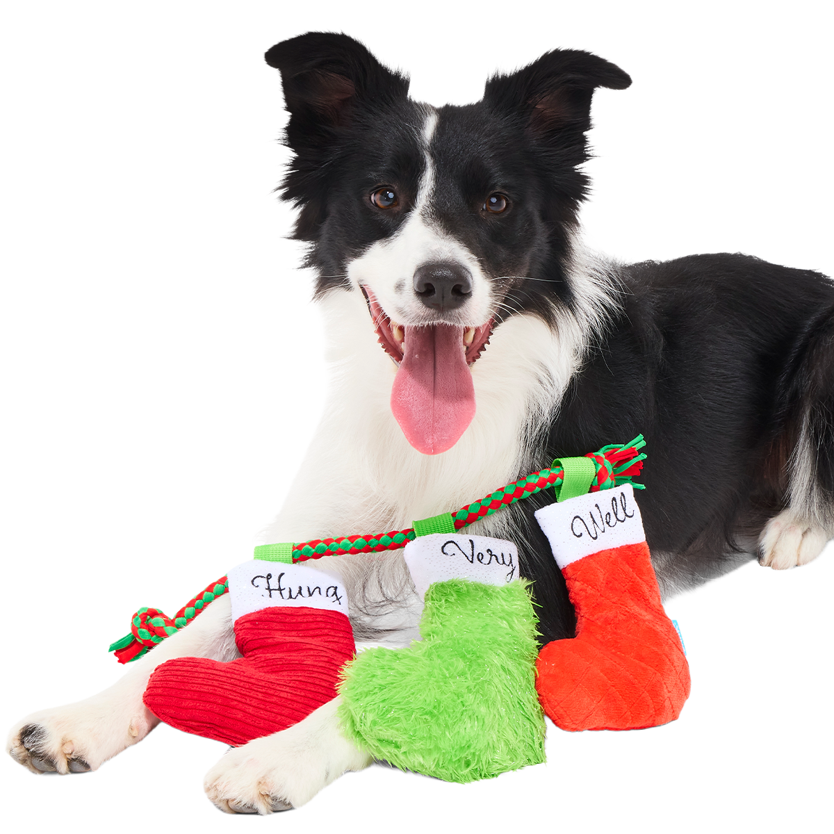 Well Hung Stockings Plush Extra-Large + Tug + Enrichment Dog Toy