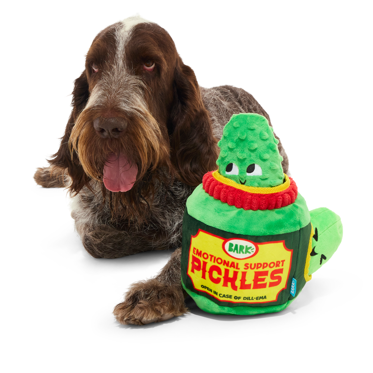 Dill-emma Squad Pickle Plush Extra-Large + Multi-Part + Enrichment