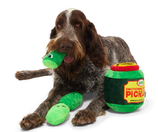 Dill-ightful Pickle Dog Toy & Treat Holiday Gift Box