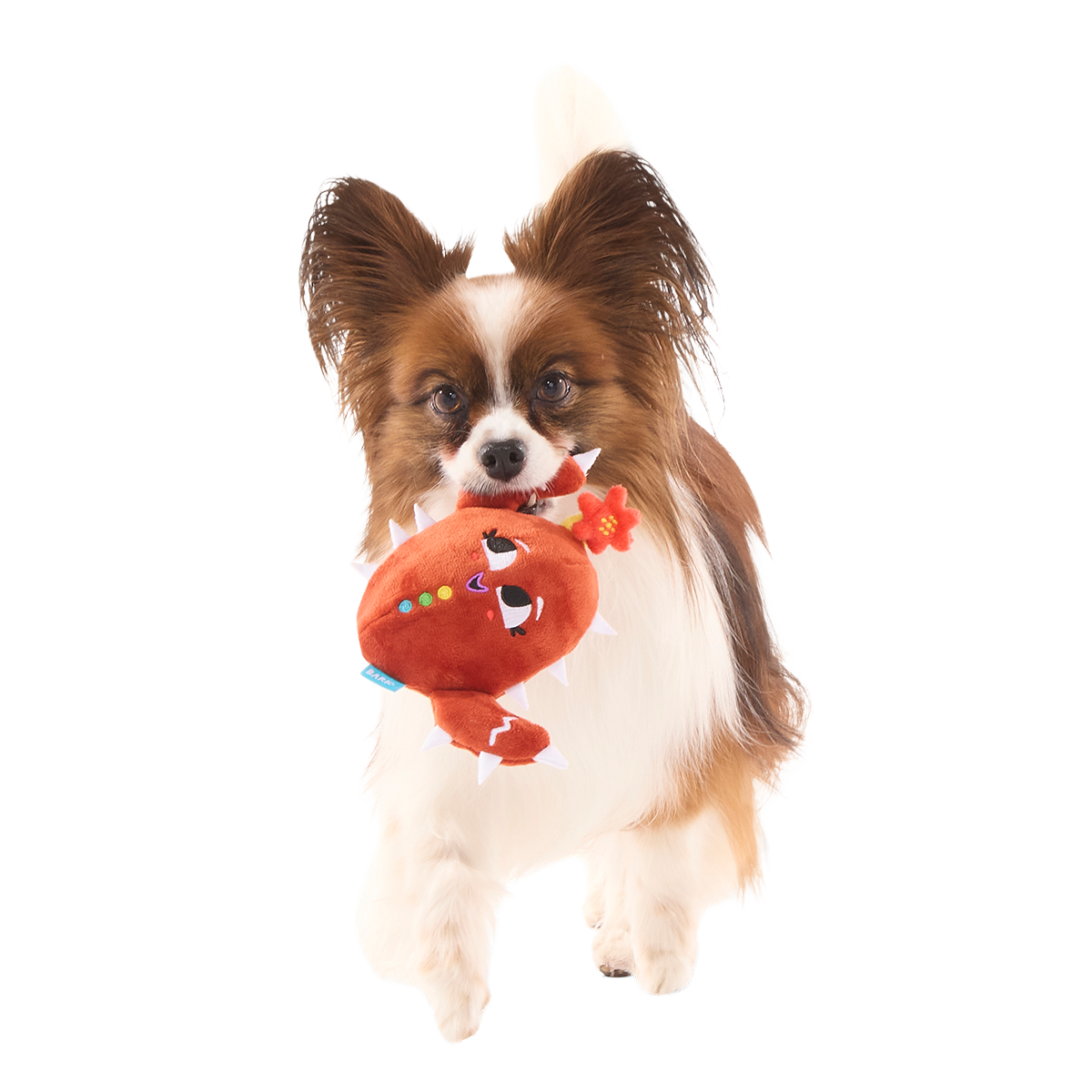 Consuela the Cookie Cactus Plush 3-in-1 Dog Toy