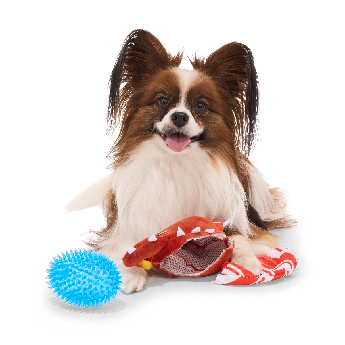 ATB_217959_CONSUELA-THE-COOKIE-CACTUS-S_MAJOR-GATOR_1392_cropped#Size_S