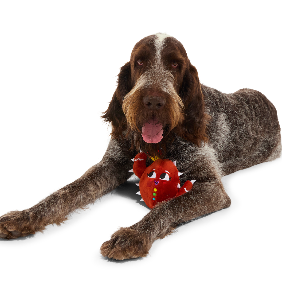 ATB_217960_CONSUELA-THE-COOKIE-CACTUS-M-L_BUGATTI_39958_cropped#Size_M/L