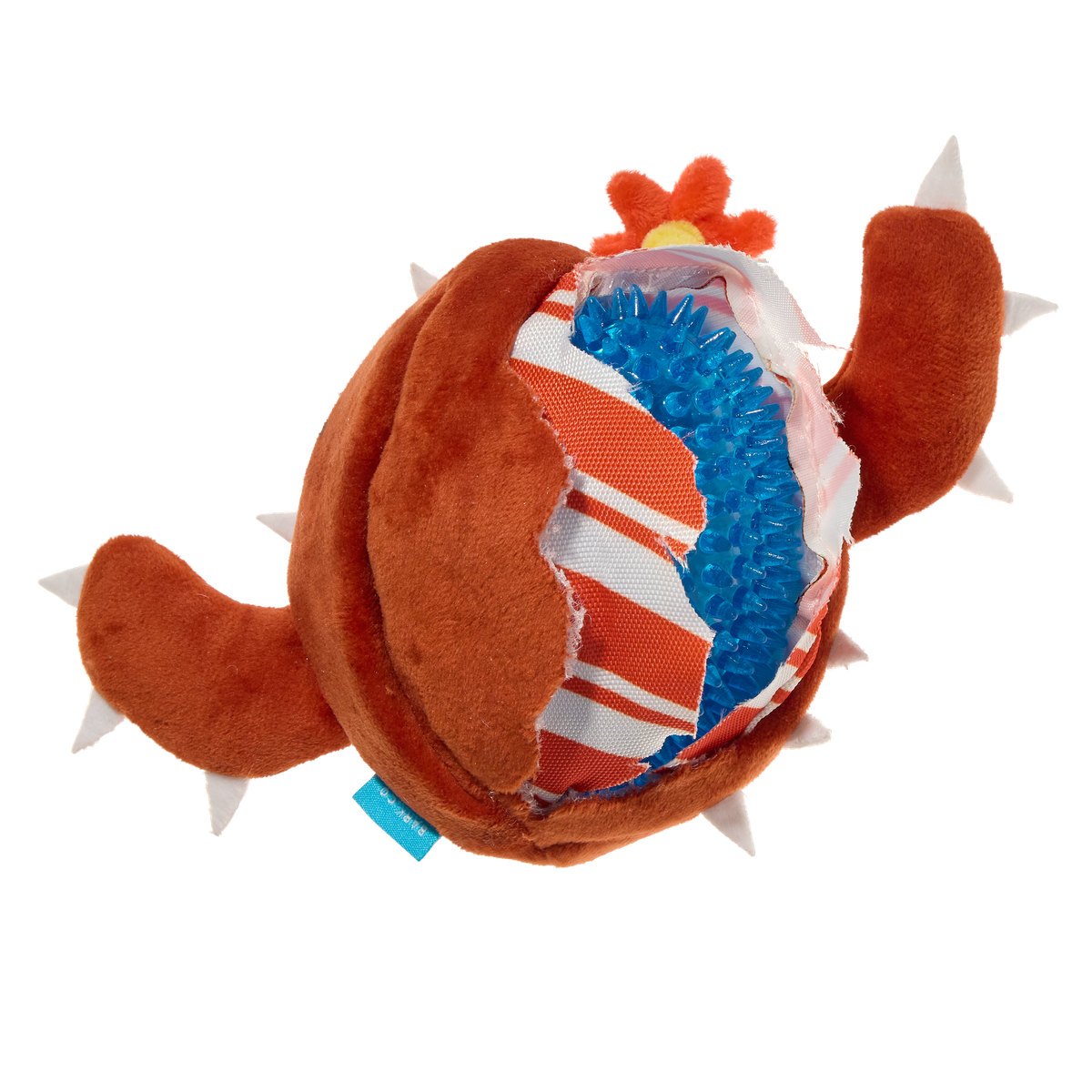 Consuela the Cookie Cactus