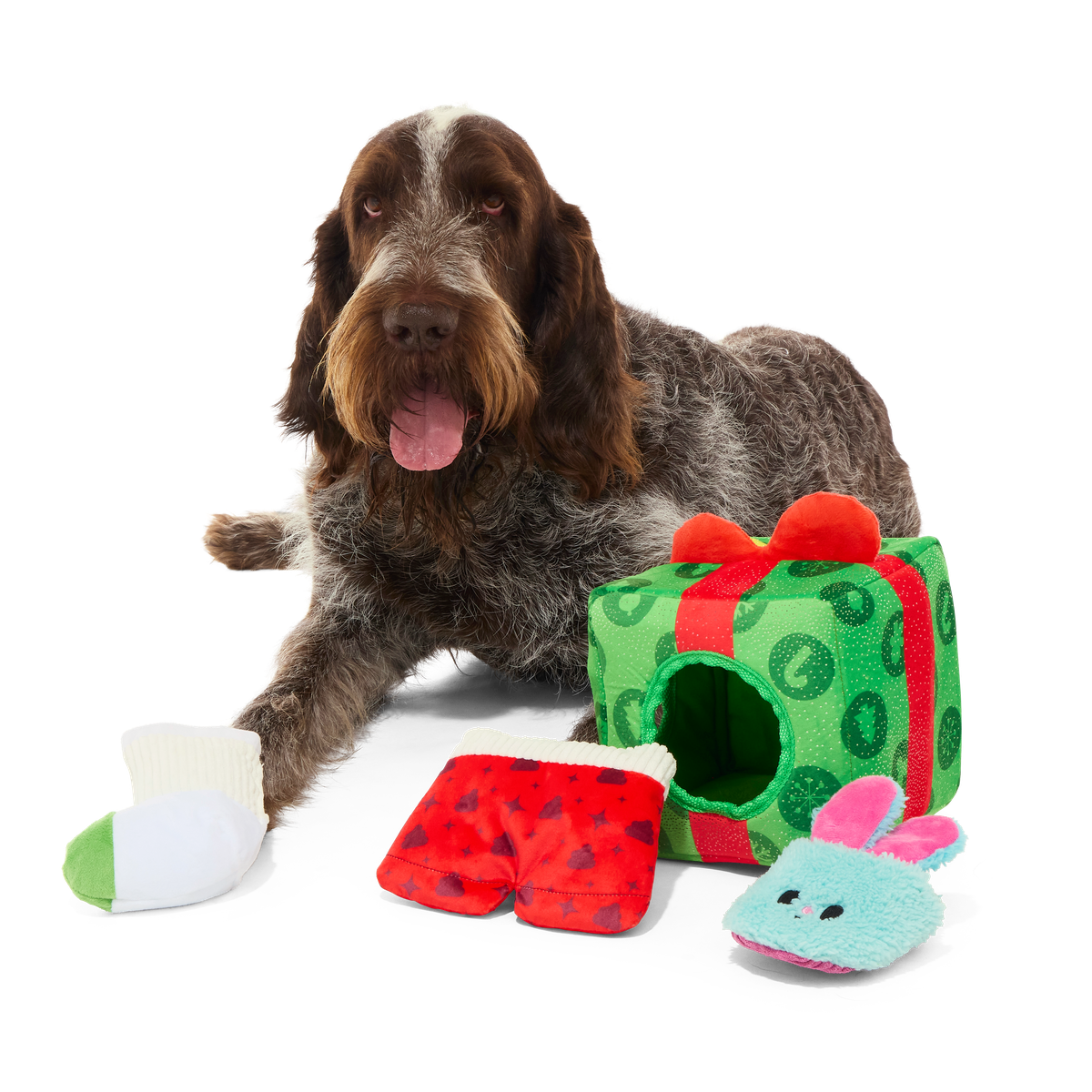 Holly Day's Presents