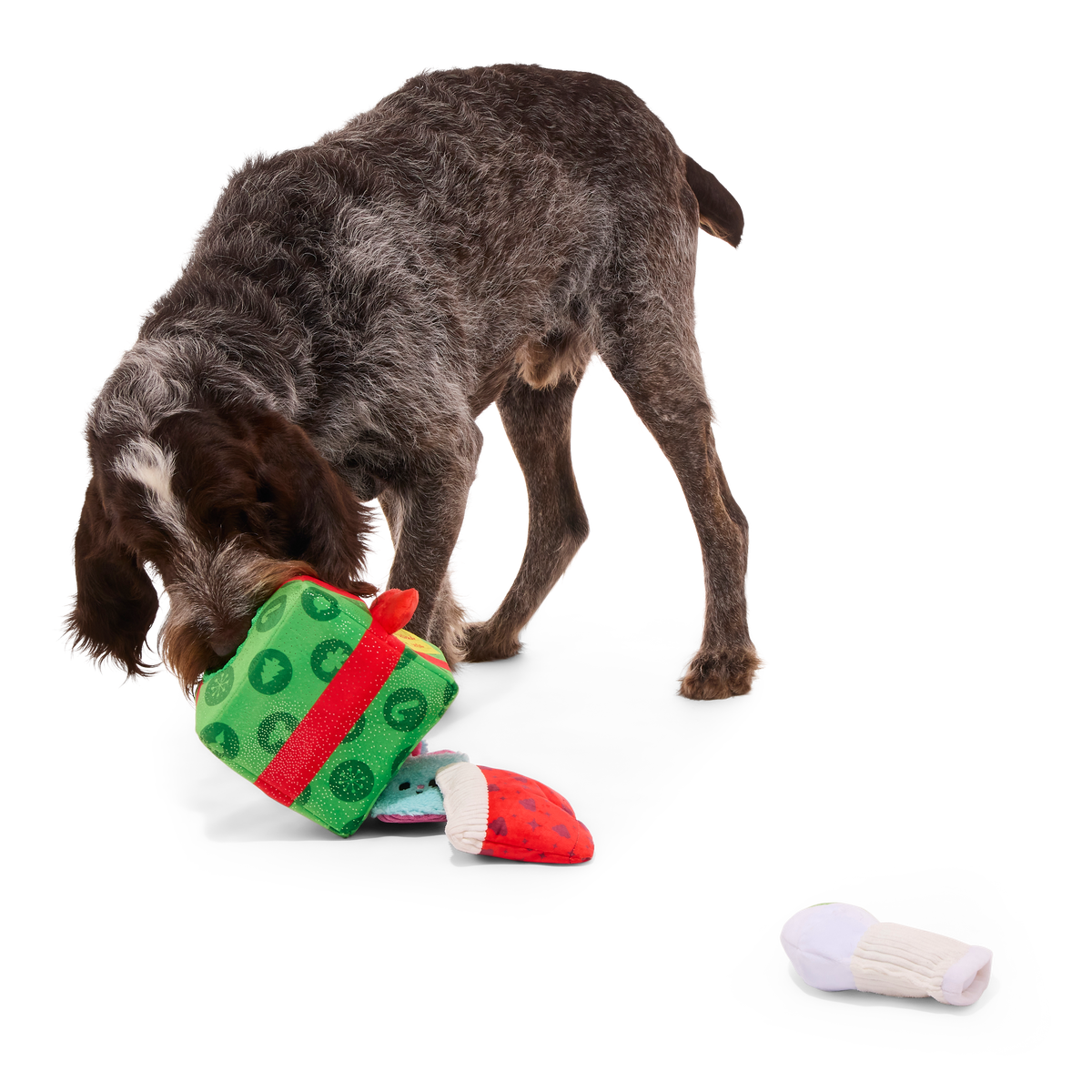 Holly Day's Presents