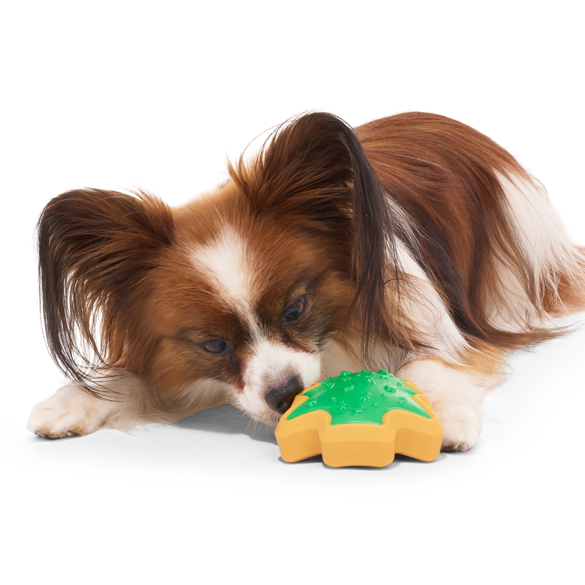 ATB_217989_HARD-BAKED-SUGRRRR-COOKIE-S_MAJOR-GATOR_1321_cropped#Size_S