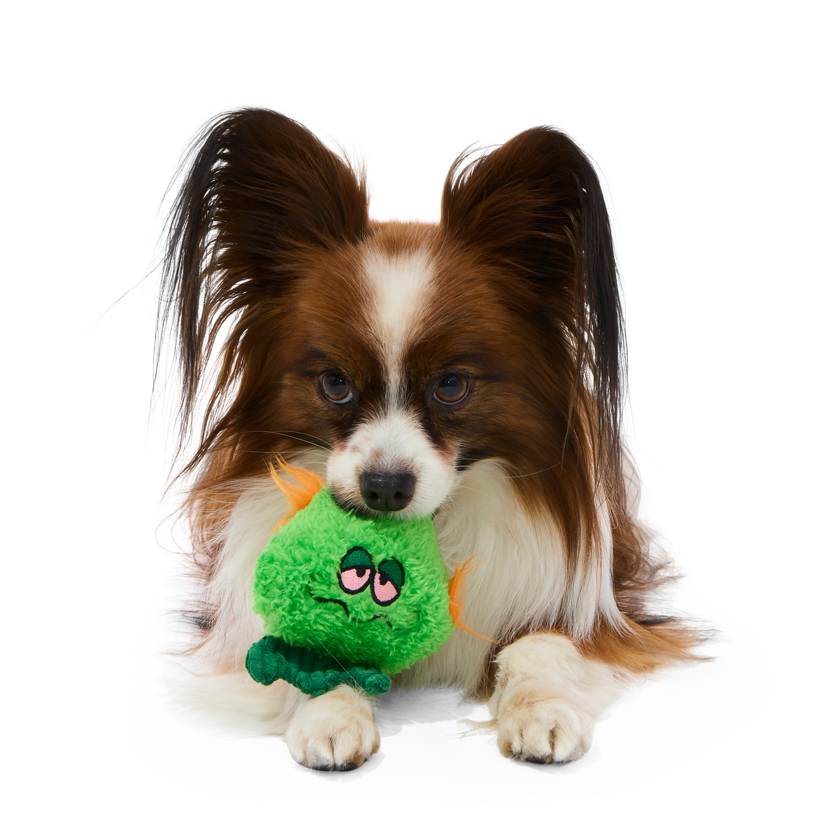 The Grim Reefer Super Chewer Durable 2-in-1 + Fetch Dog Toy