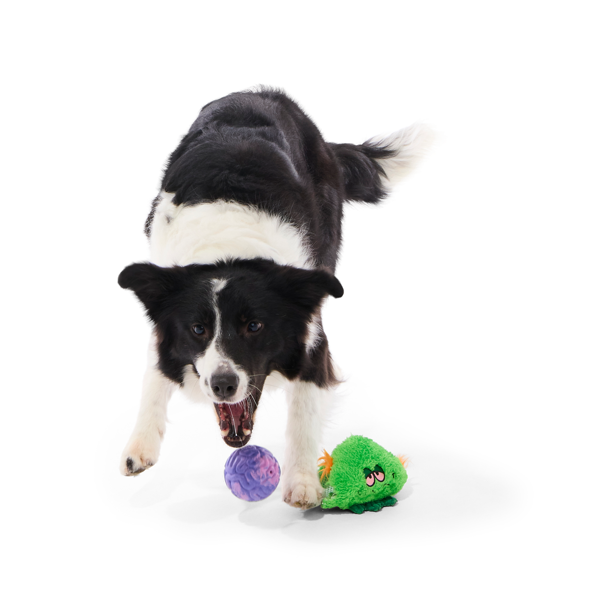 The Grim Reefer Super Chewer Durable 2-in-1 + Fetch Dog Toy