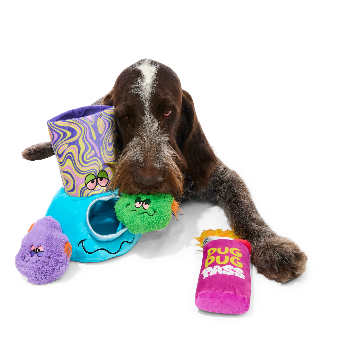 Pipe Dreams Plush Extra-Large + Multi-Part + Enrichment Dog Toy