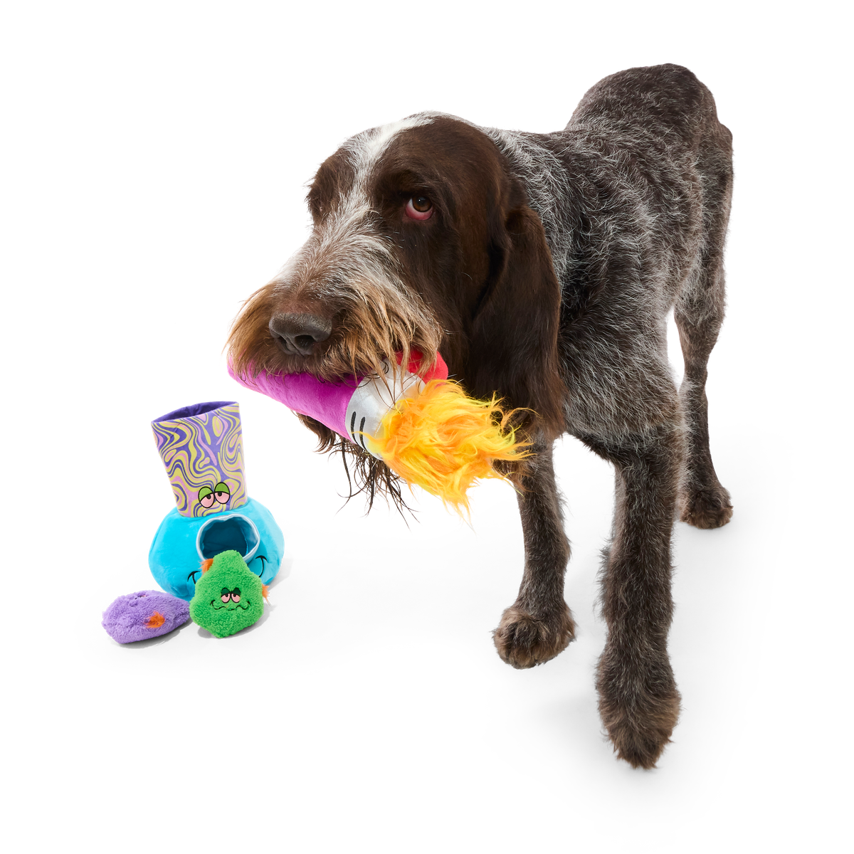 Pipe Dreams Plush Extra-Large + Multi-Part + Enrichment Dog Toy