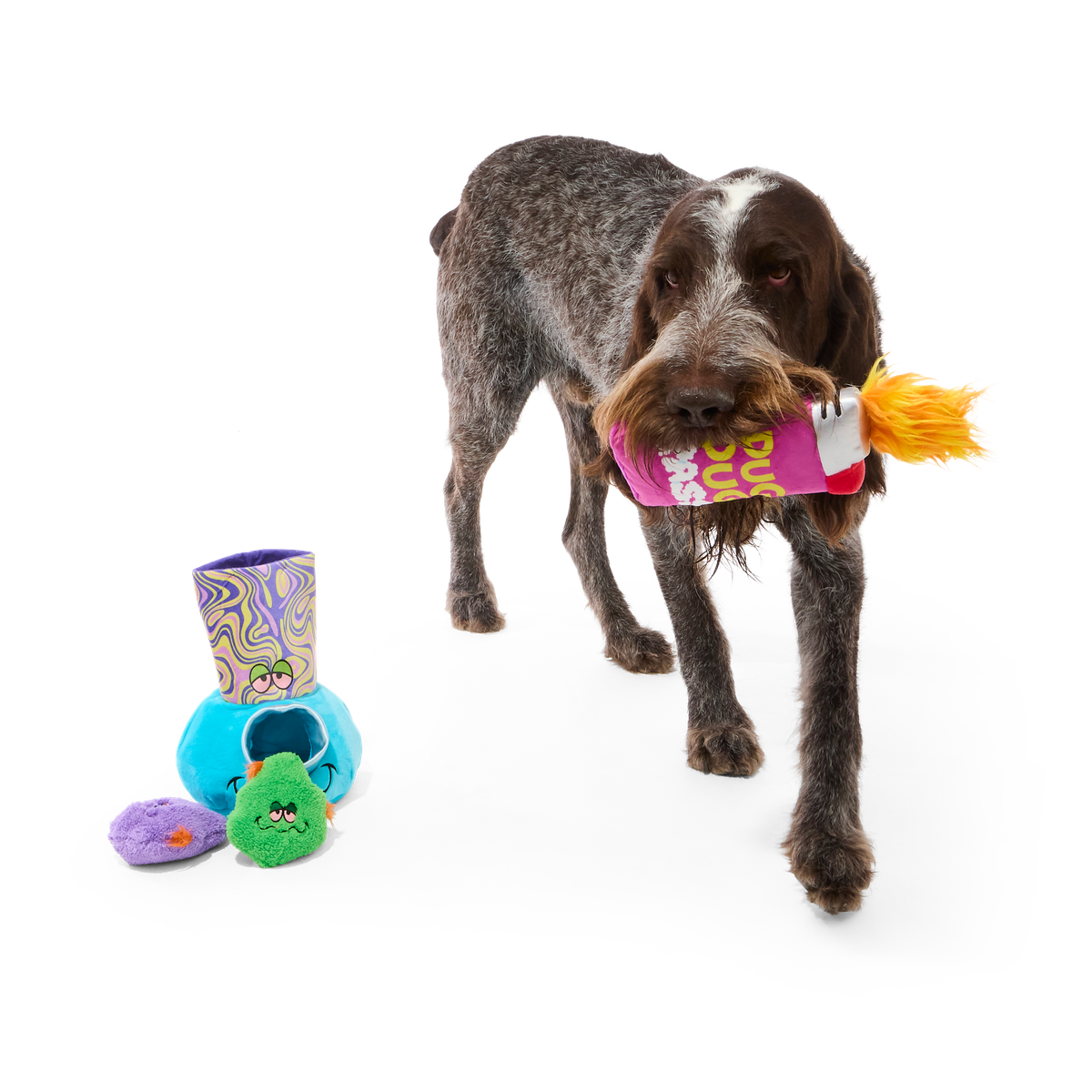 Pipe Dreams Plush Extra-Large + Multi-Part + Enrichment Dog Toy
