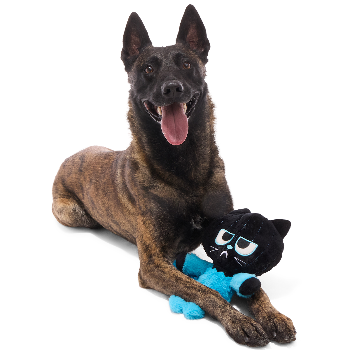 The Purrfect Crime Plush 2-in-1 + Tug Dog Toy