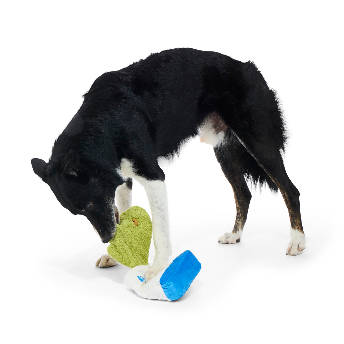 Arf Bag Plush Tug + Enrichment Dog Toy
