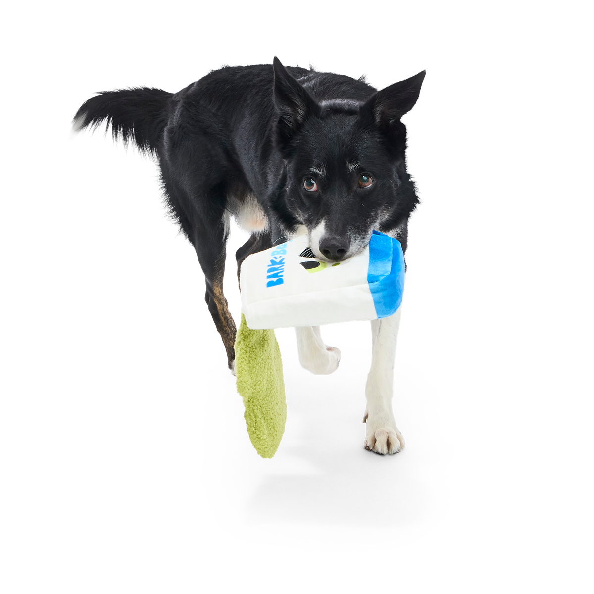 Arf Bag Plush Tug + Enrichment Dog Toy