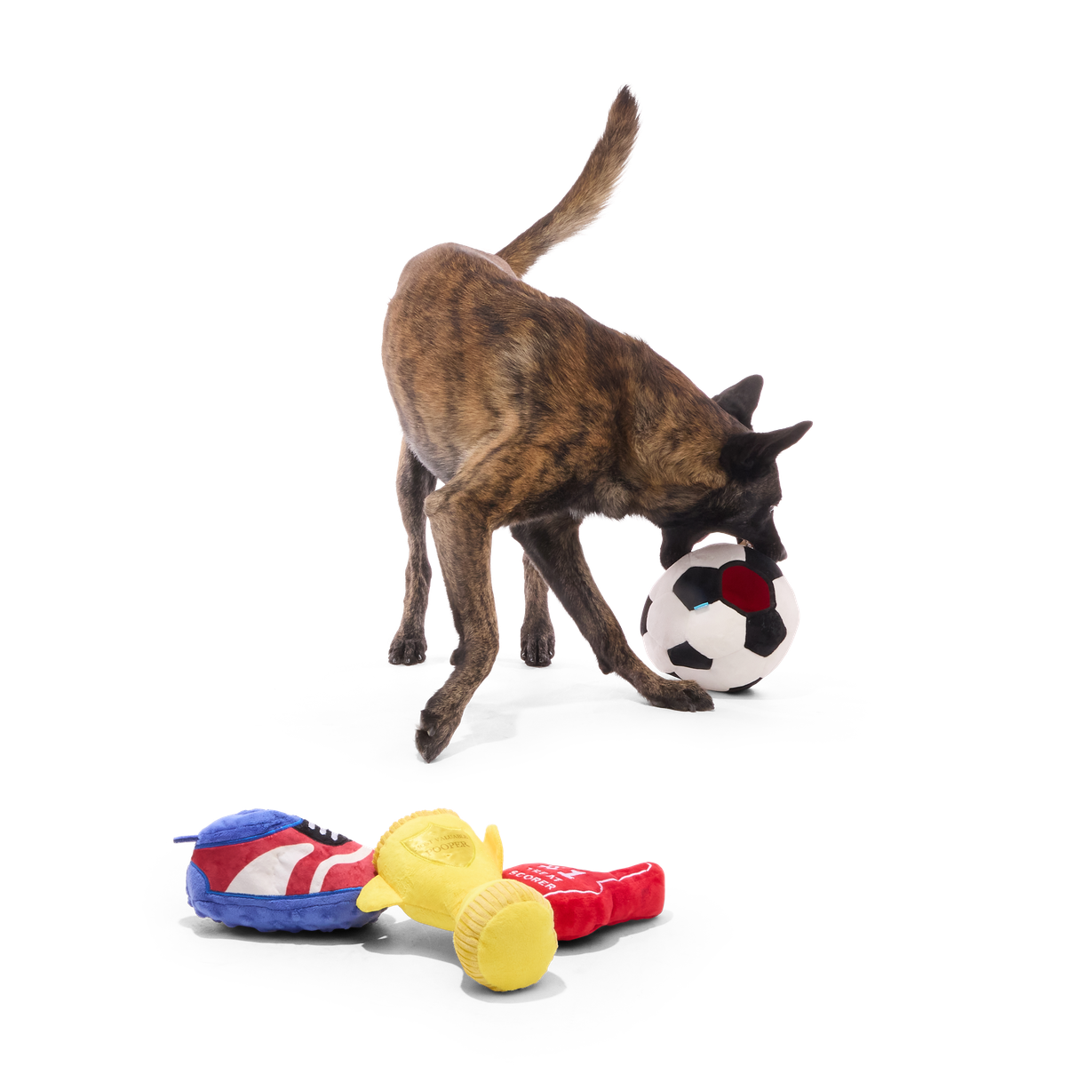 Snootbol Haul Plush Multi-Part + Enrichment Dog Toy