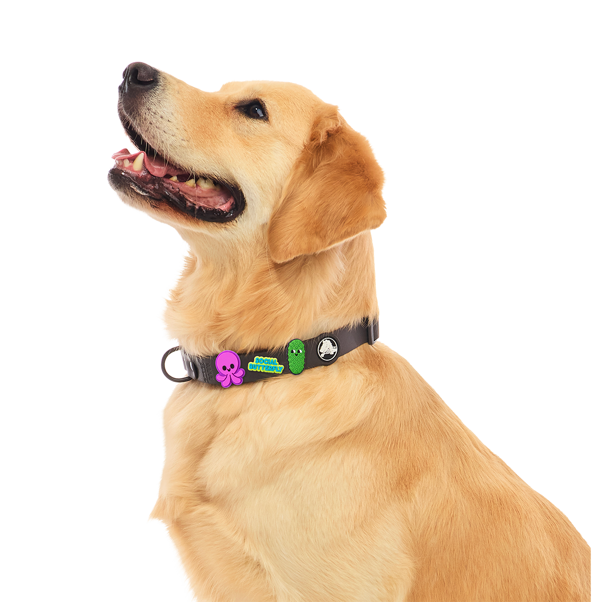 BARK Favorites 5-Pack Crocs Jibbitz™ Charms