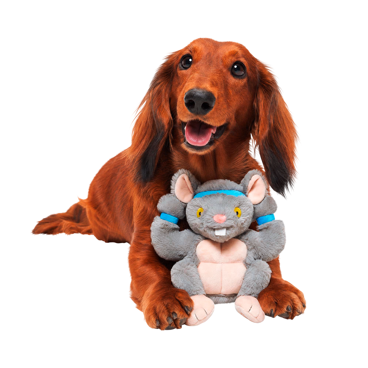 Bodybuilding Brodent Plush Tug Dog Toy