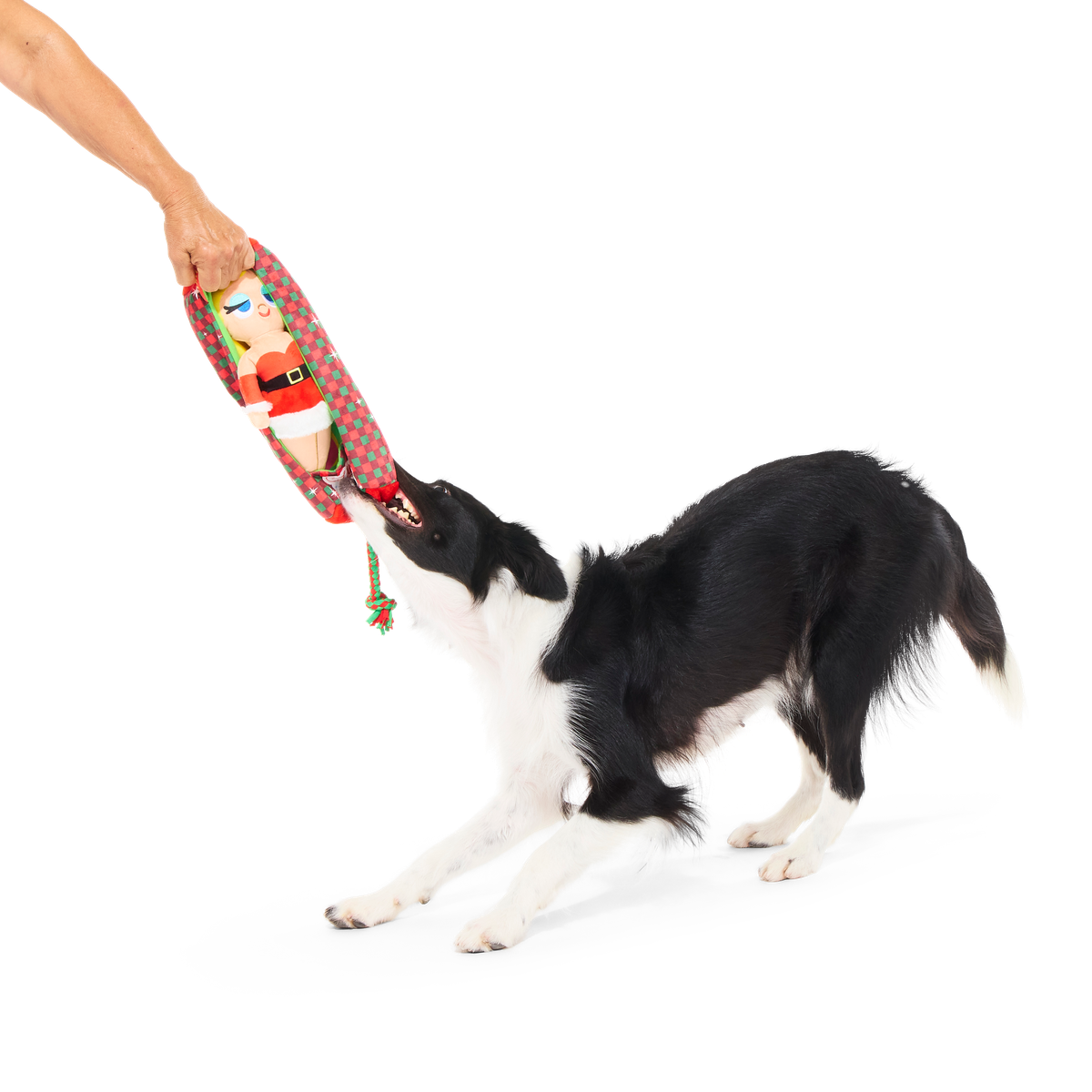 Howliday Barkbara Doll