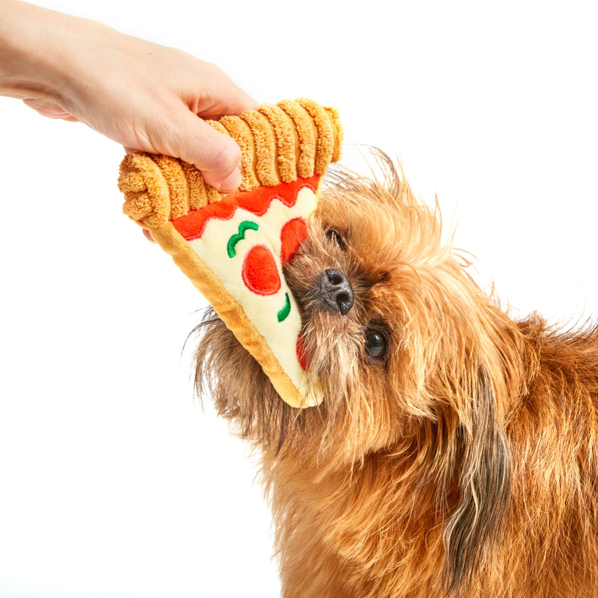 Mutt Lovers Pizza Plush Dog Toy