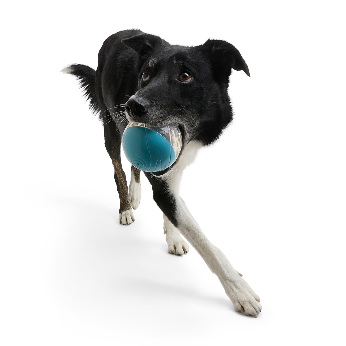 Apex Puzzler Super Chewer Durable Enrichment + Fetch Dog Toy