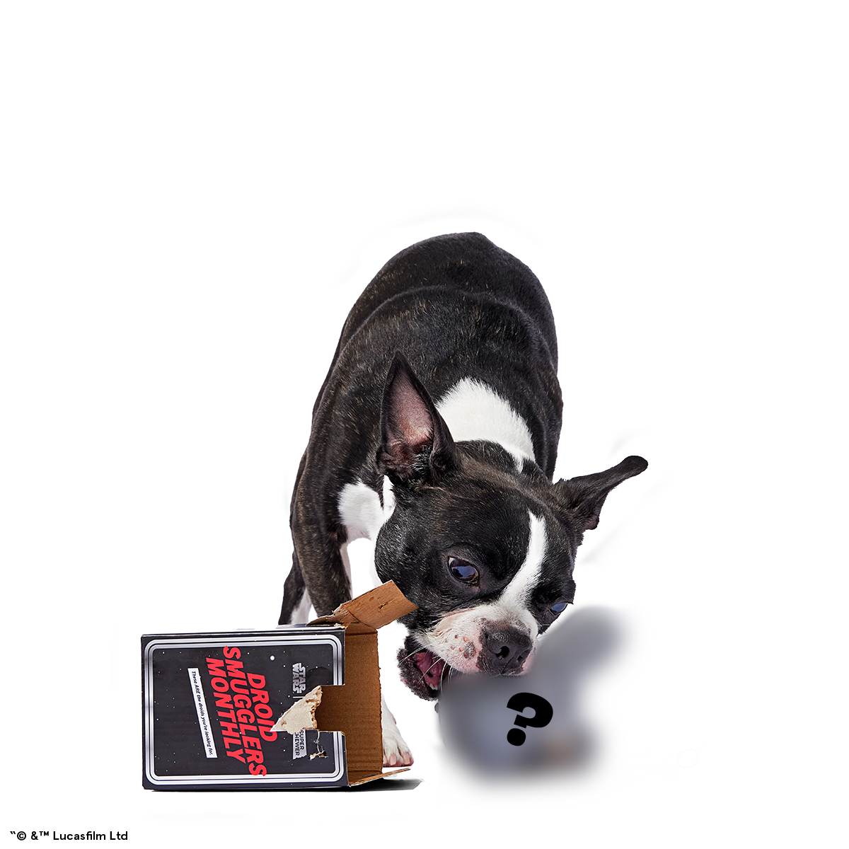 Star Wars™ Droid Smugglers Club, Super Chewer Durable Monthly Dog Toys