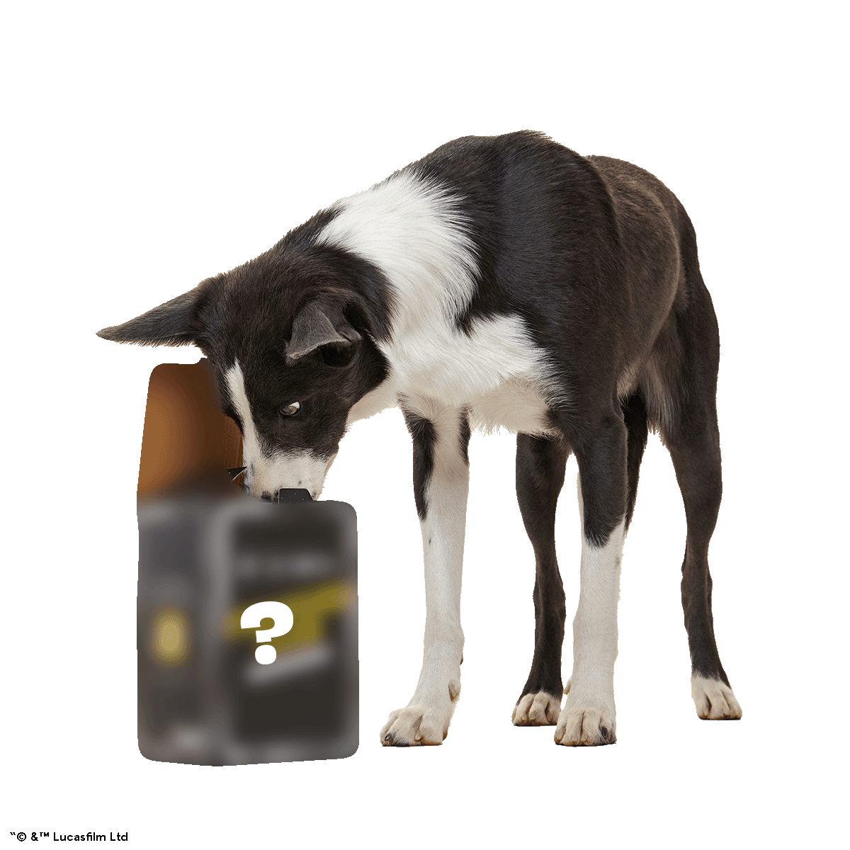 Star Wars™ Creature Club, Plush Monthly Dog Toys