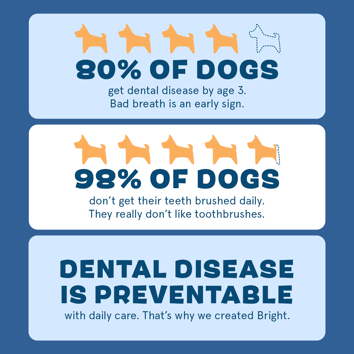 Bright Allergy-Friendly Dental Kit
