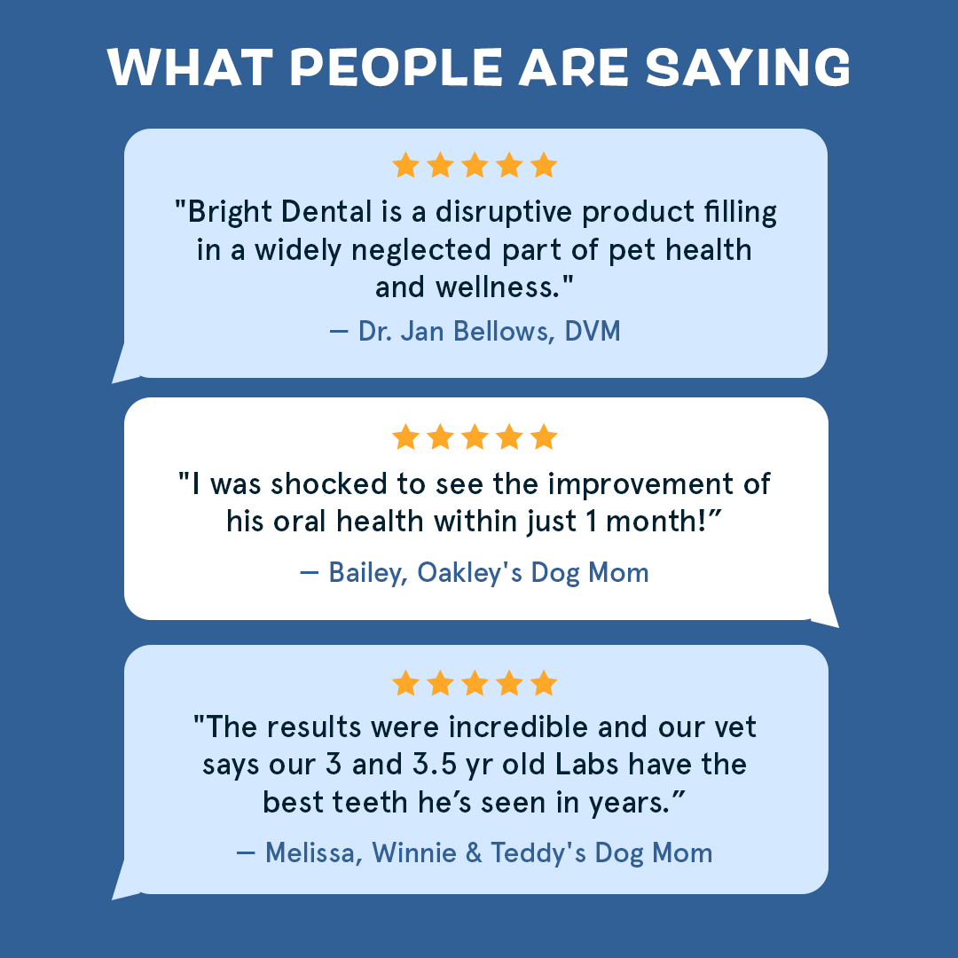 The Bright Dental Kit Subscription