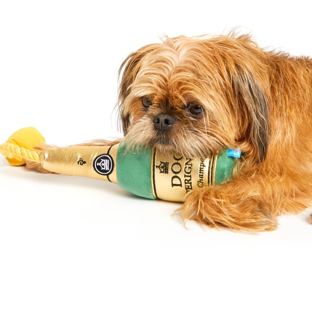 Dog Perignon