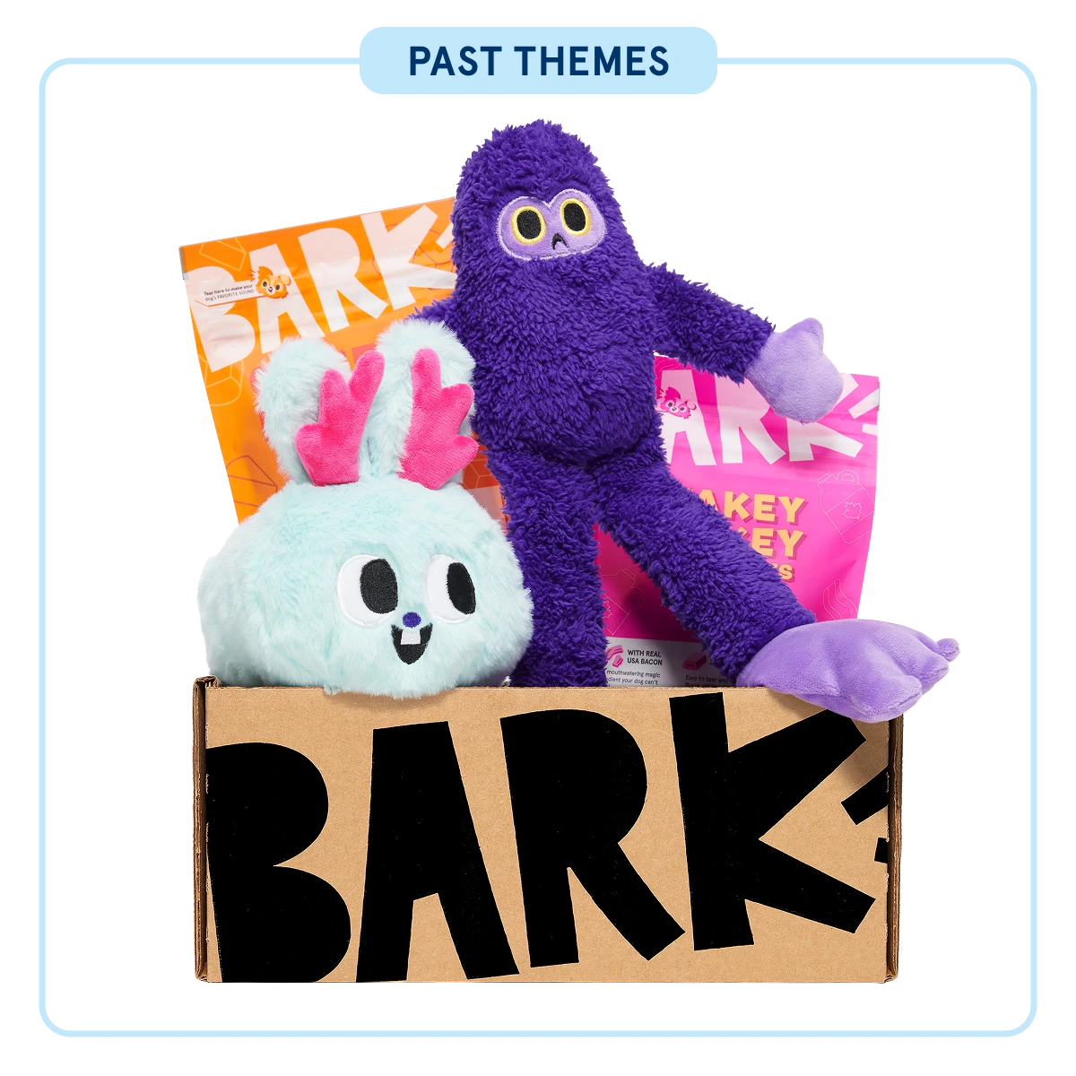 BarkBox - One Month Gift Box