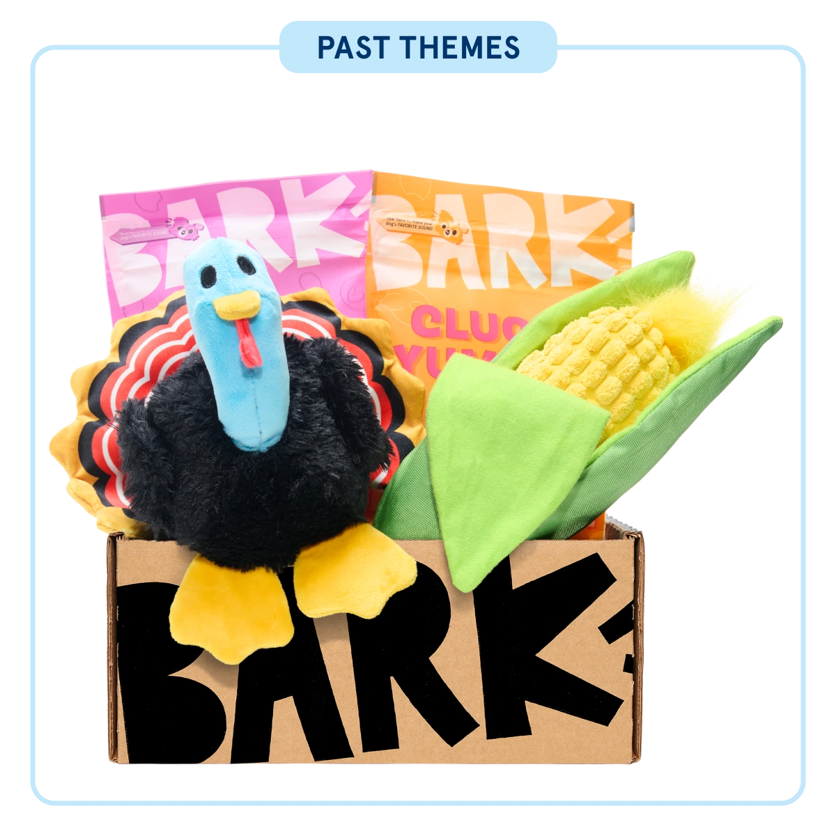 BarkBox - One Month Gift Box