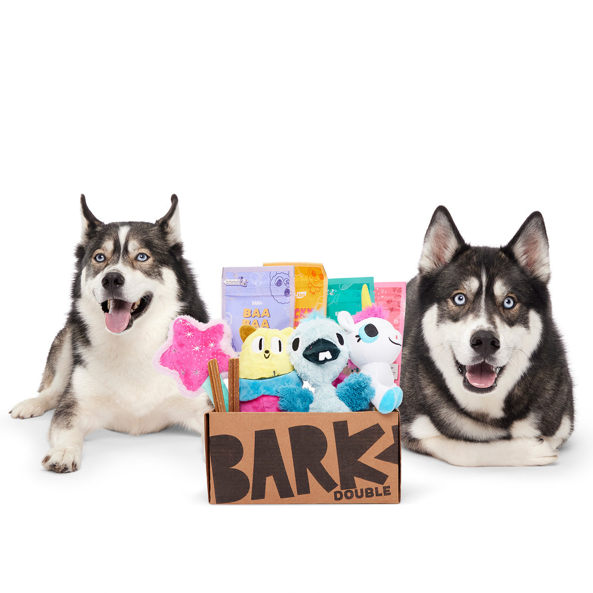 BarkBox Free Double Deluxe Upgrade: BarkBox 12 Month Subscription