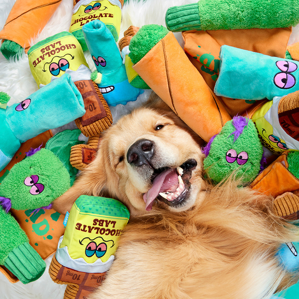 BarkBox Free Double Deluxe Upgrade: BarkBox 12 Month Subscription