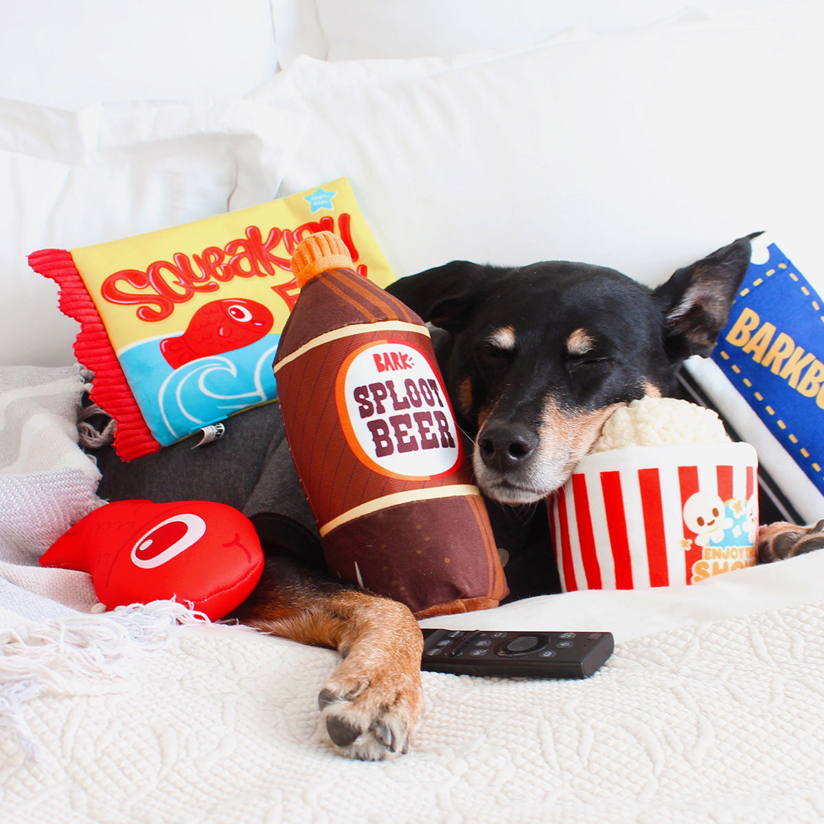 BarkBox + Free Yeti Bowl: 6 Month Subscription