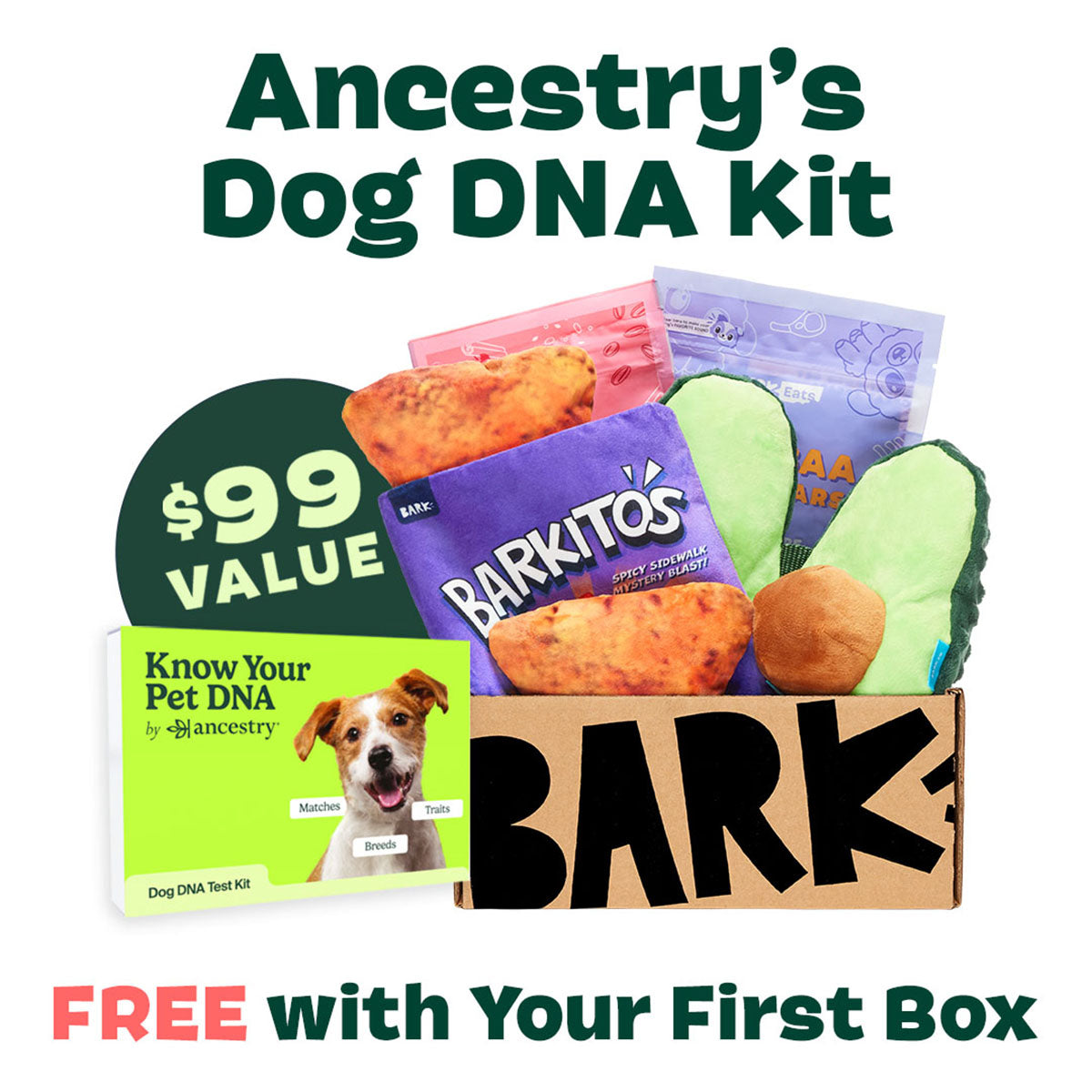 BarkBox + Free Ancestry Kit: 6 Month Subscription