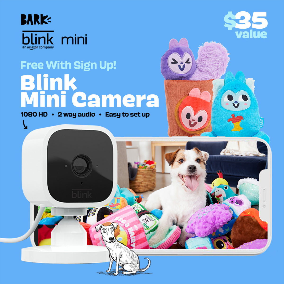 BarkBox + Free Blink Camera: 6 Month Subscription