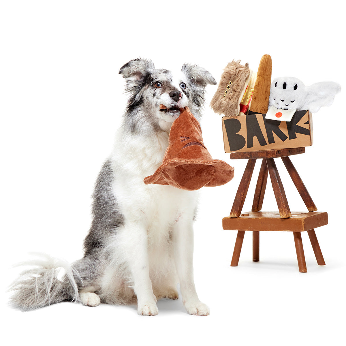 BarkBox + Harry Potter (1 Free Extra Toy): 6 Month Subscription