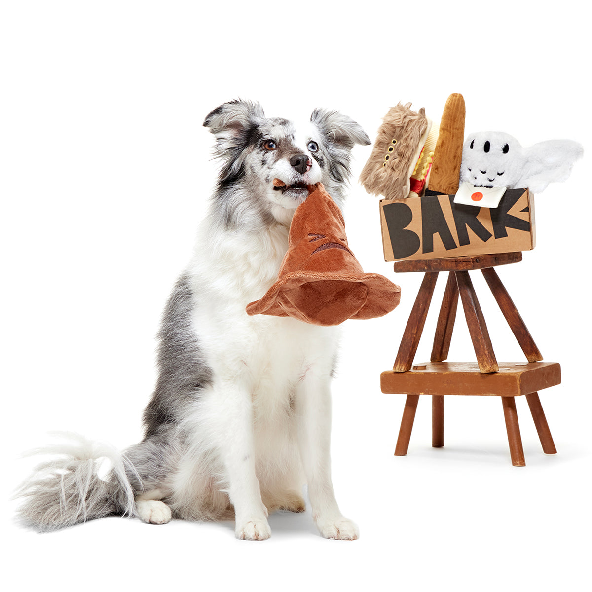 BarkBox + Harry Potter (1 Free Extra Toy): 12 Month Subscription