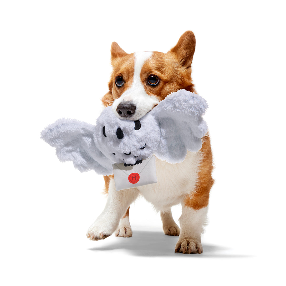 BarkBox + Harry Potter (1 Free Extra Toy): 6 Month Subscription