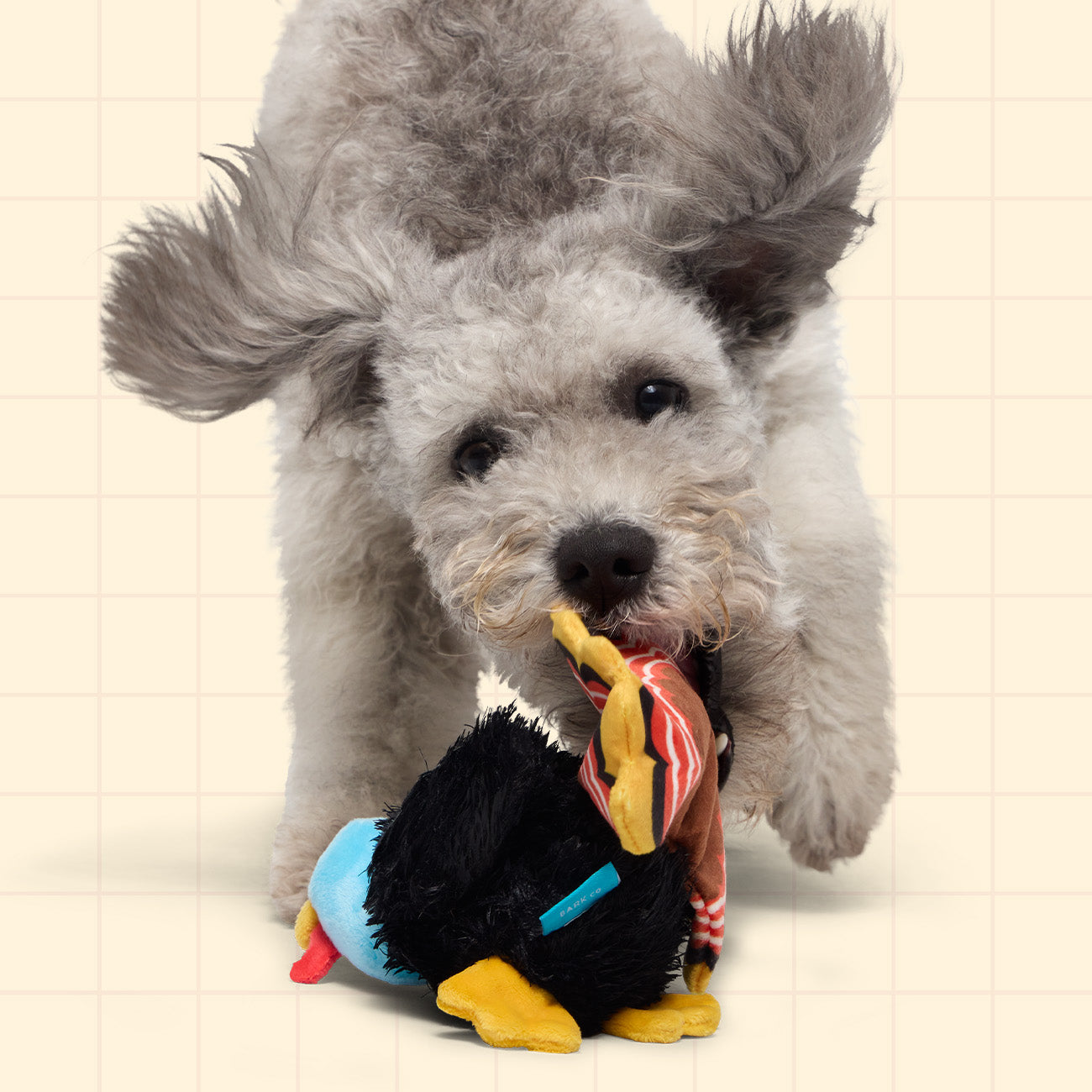 Super Chewer 12 Month Subscription - 50% off First Box