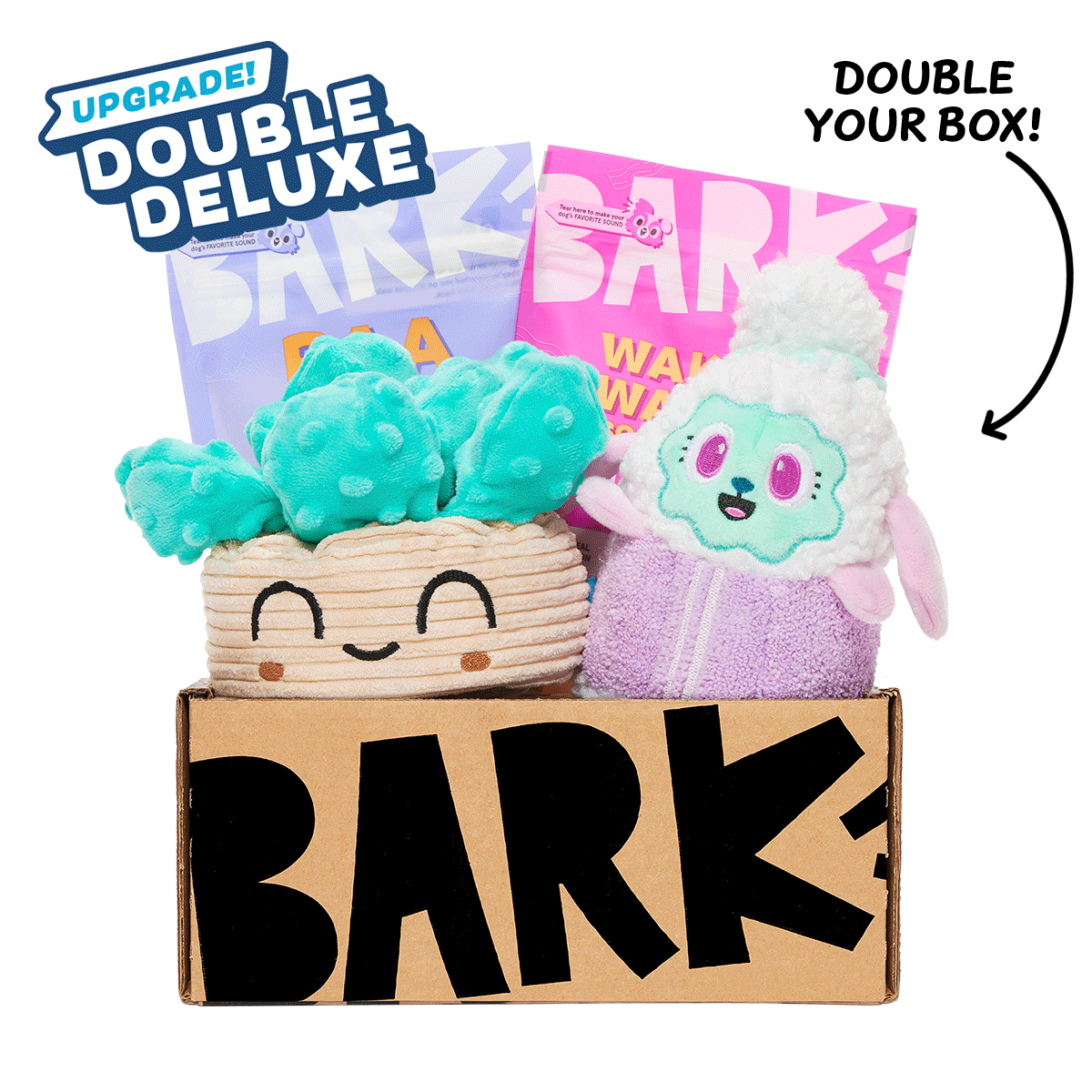 BarkBox Free Double Deluxe Upgrade: BarkBox 6 Month Subscription