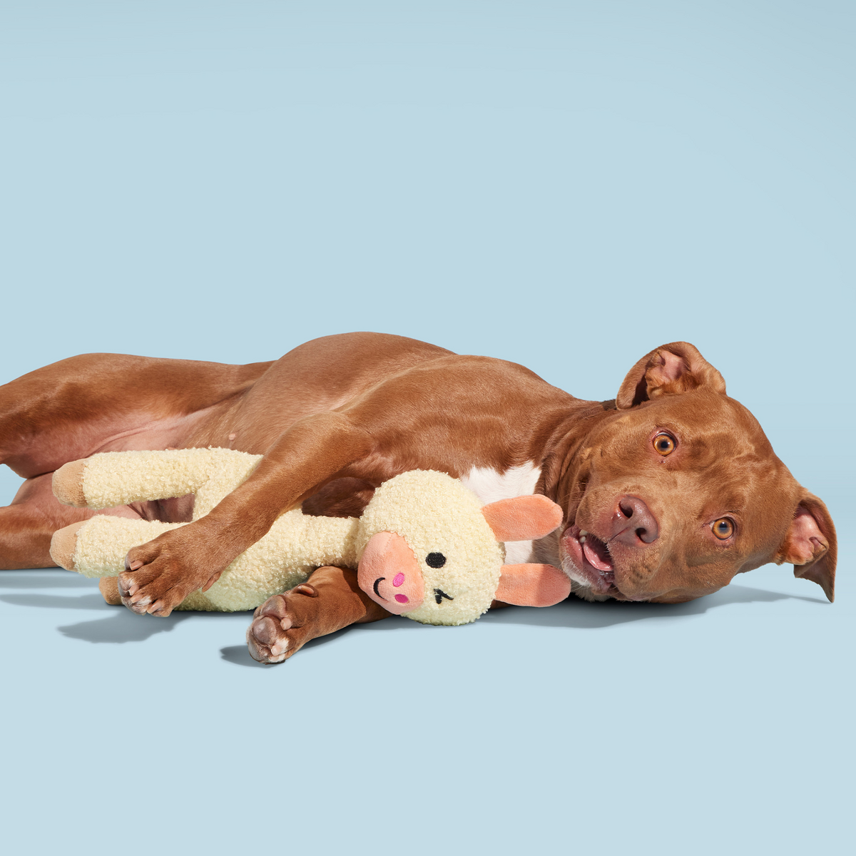 Big Al Paca Plush Tug Extra-Large Dog Toy