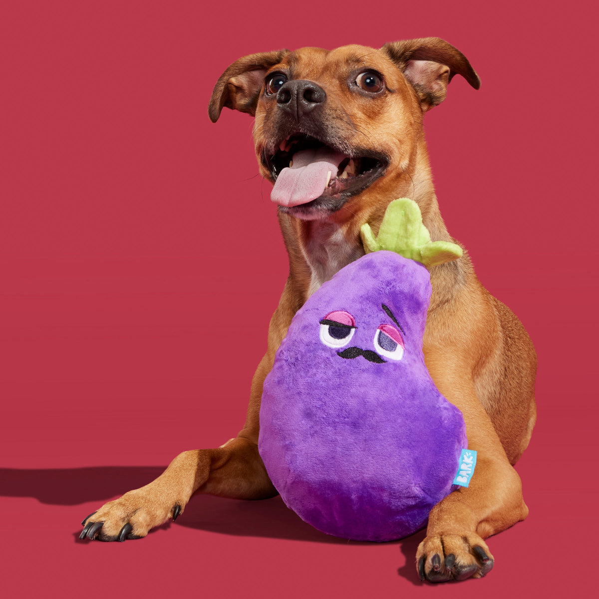 Big Babbo Plush Tug Dog Toy