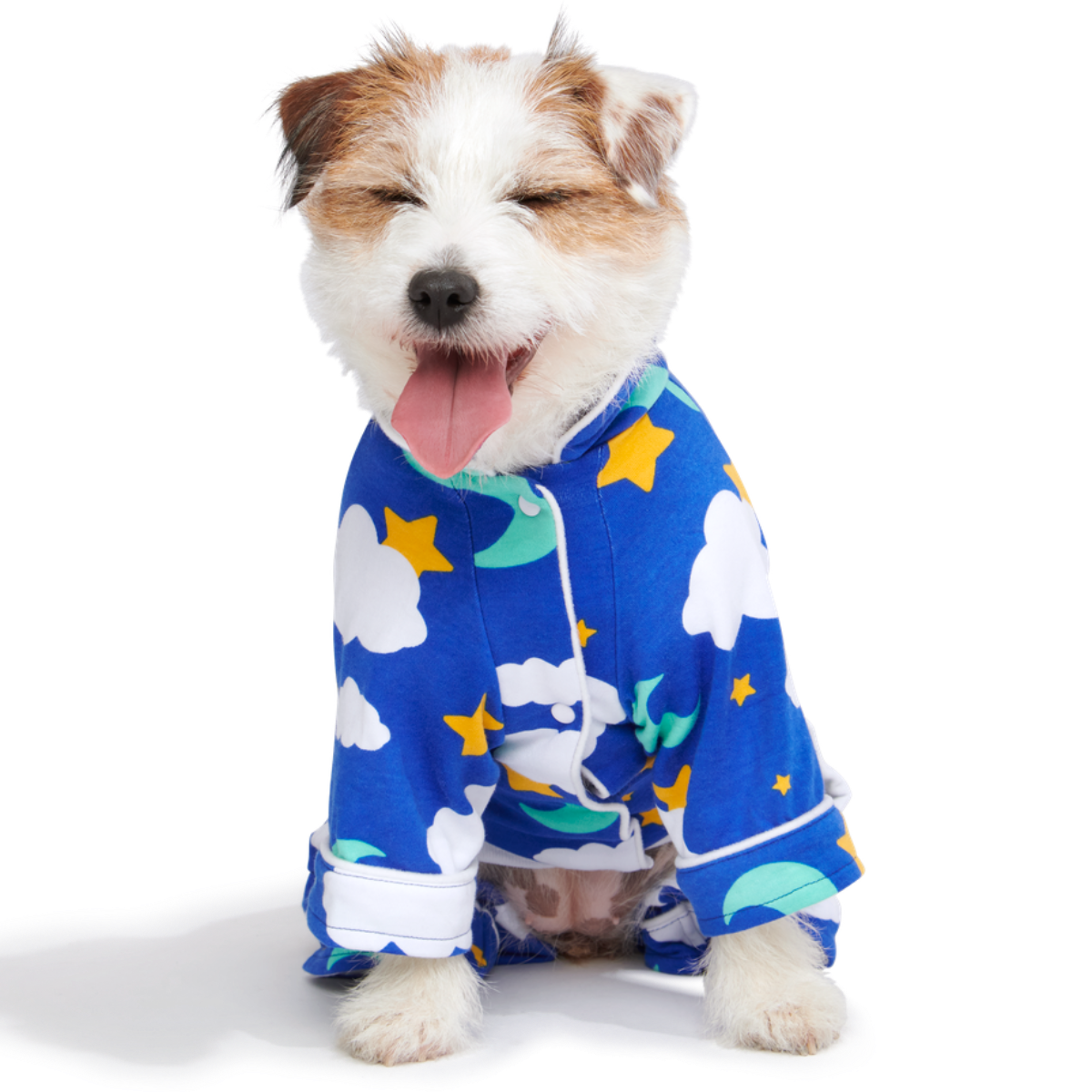 Birdog pajamas setup / バードッグパジャマセットアップ Slumber Party Dog Pajamas – BARK