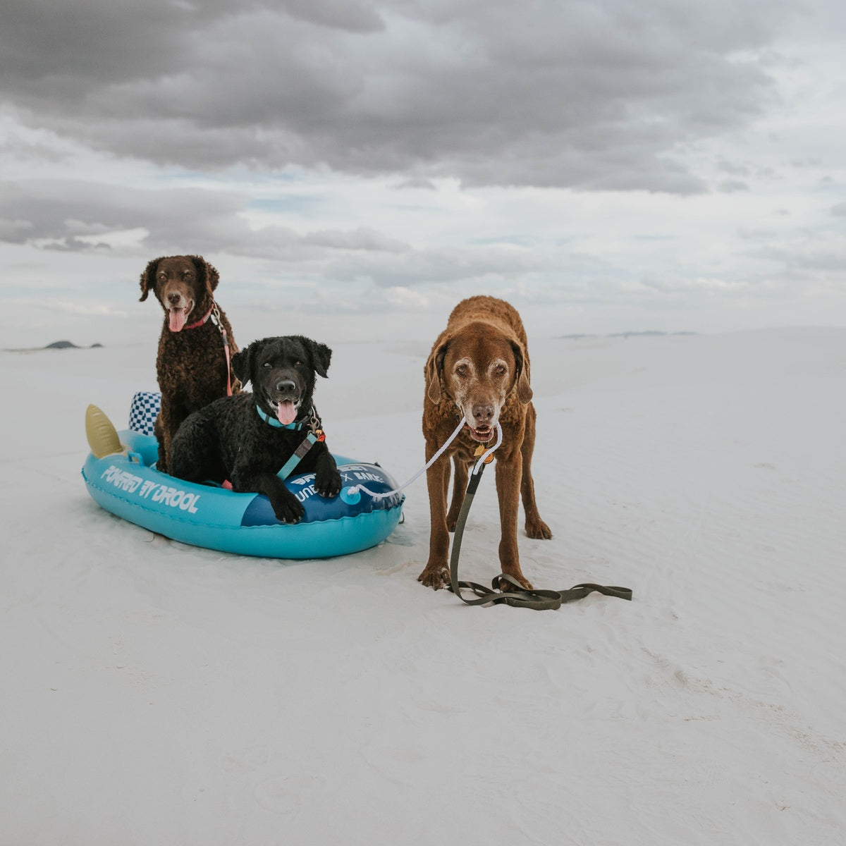 BOX-ATB-GWP_213460_FUNBOY-BLUE-ROCKET-SLED_NEMOCCR_6_cropped#Style_Blue Rocket