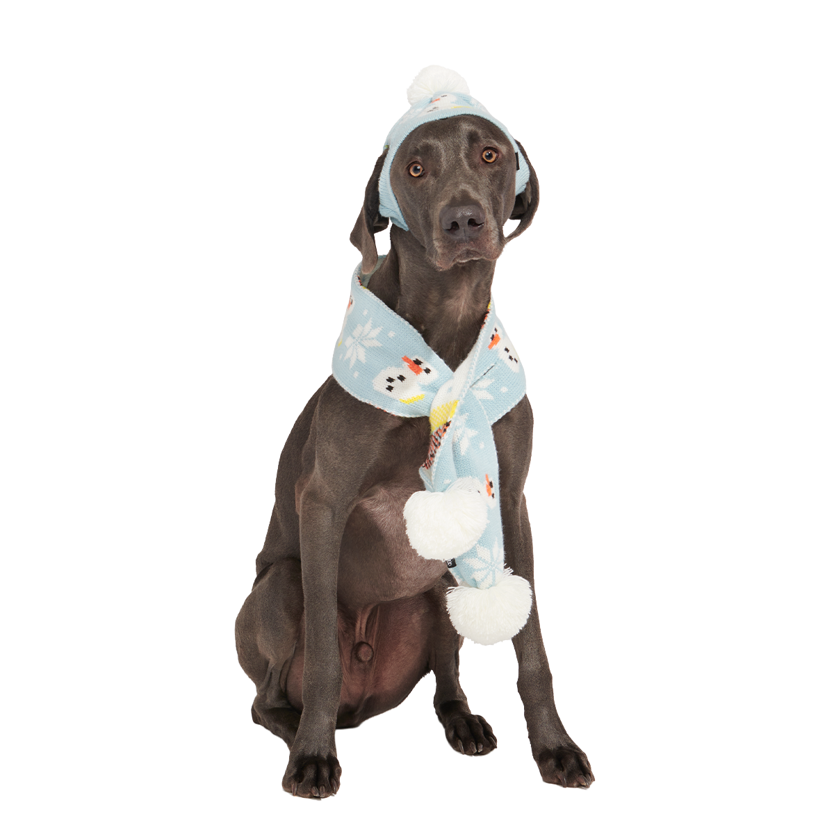 The Snowman Matching Set For Dogs And Humans