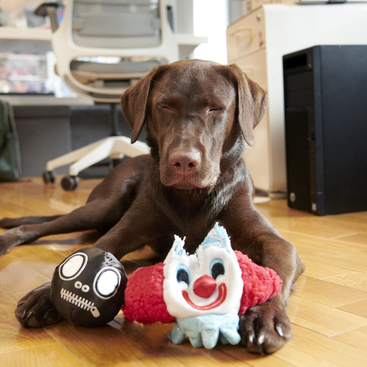 Down To Clown Bundle