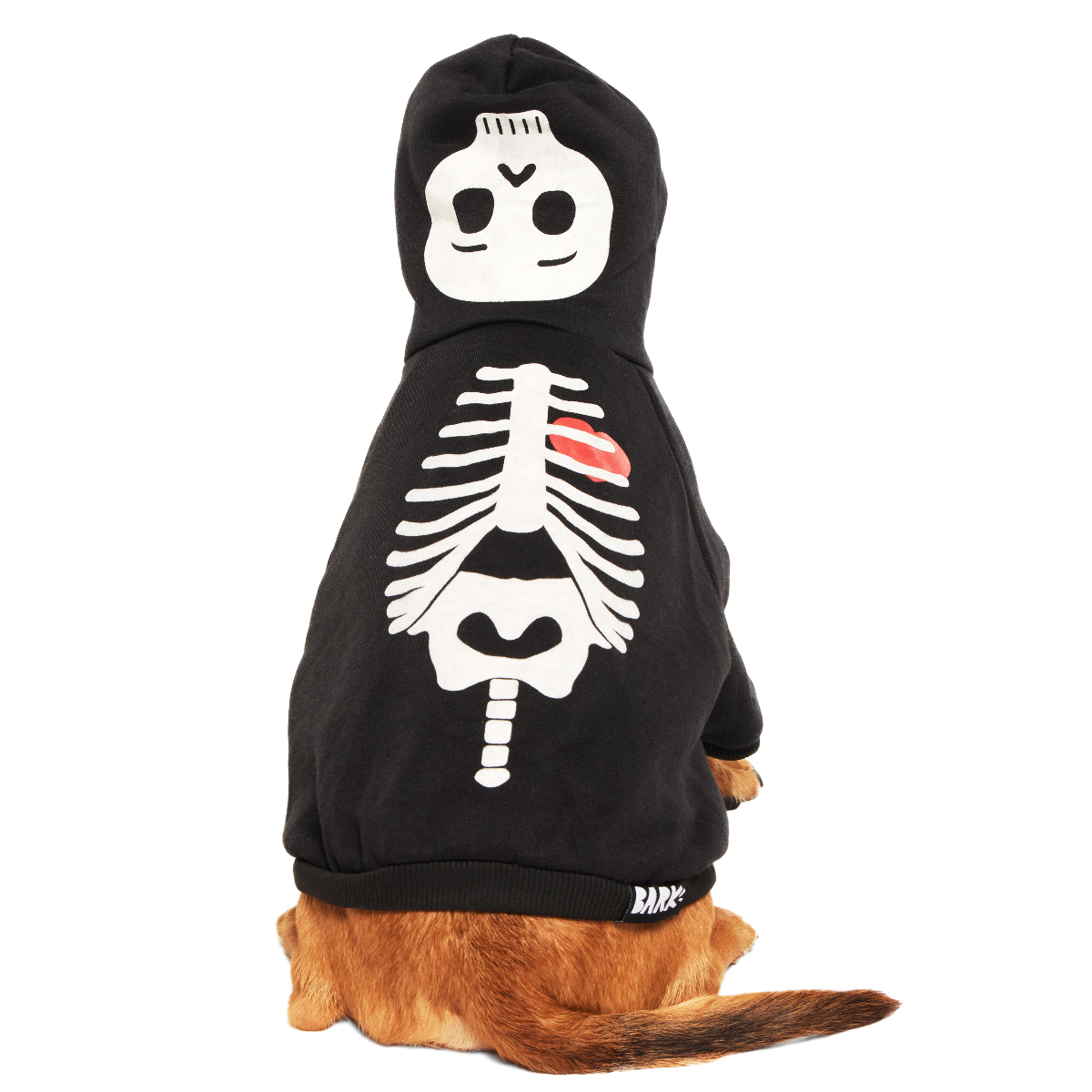 Skeleton Hoodie