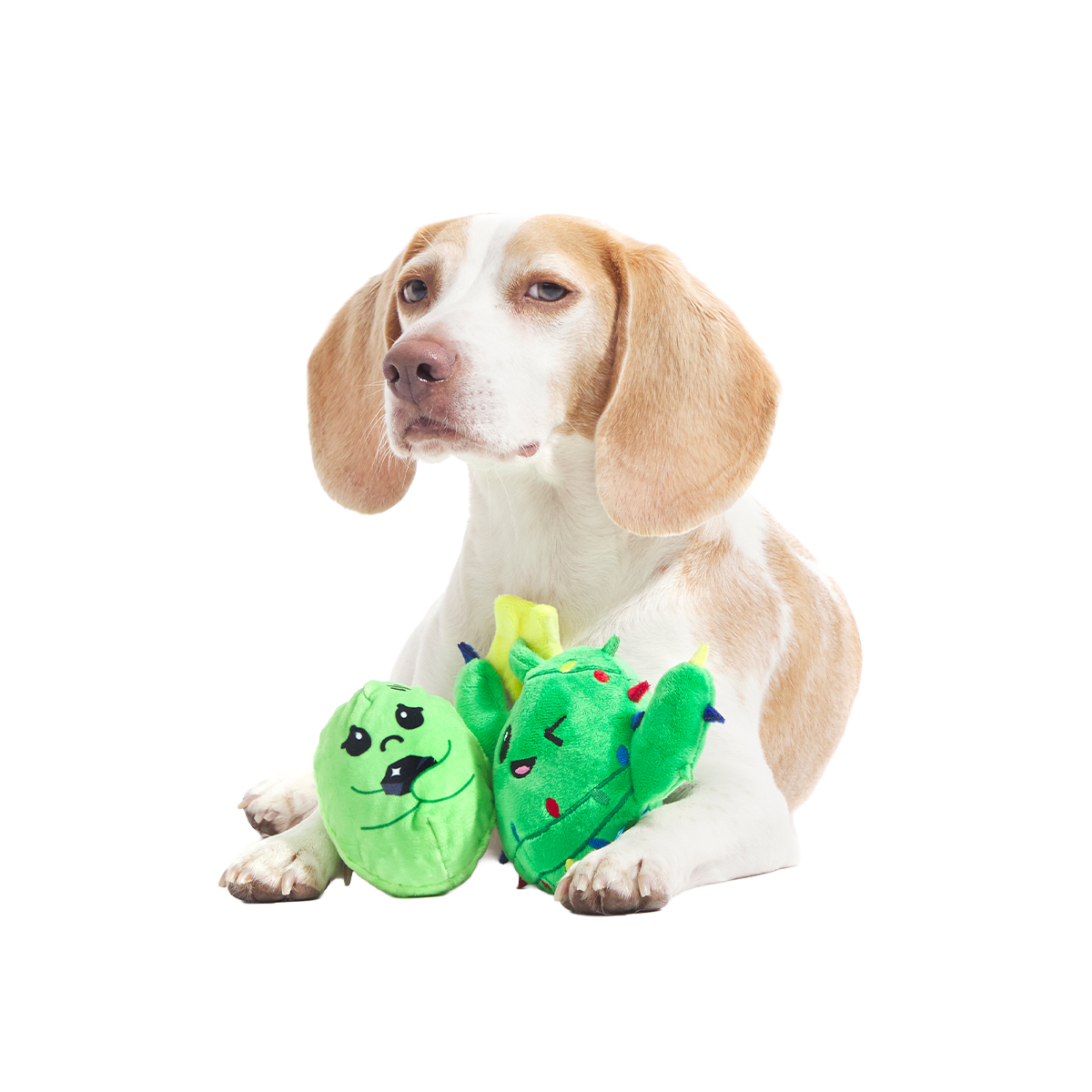 Consuela the Christmas Cactus Plush 2-in-1 + Tug Dog Toy